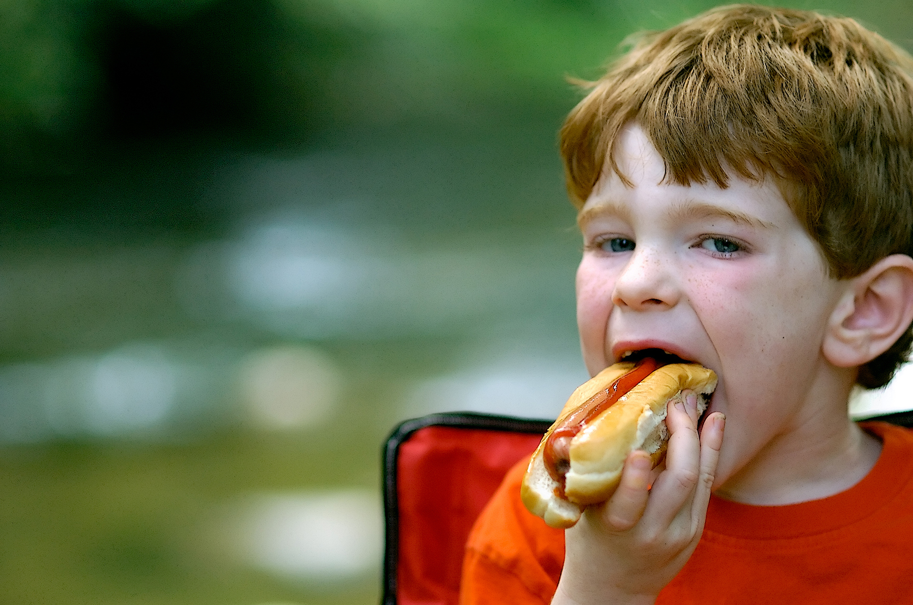 Мужик ест ребенка. Ест хот дог. Ребенок ест хот дог. Хот-доги. Кушать хот дог.